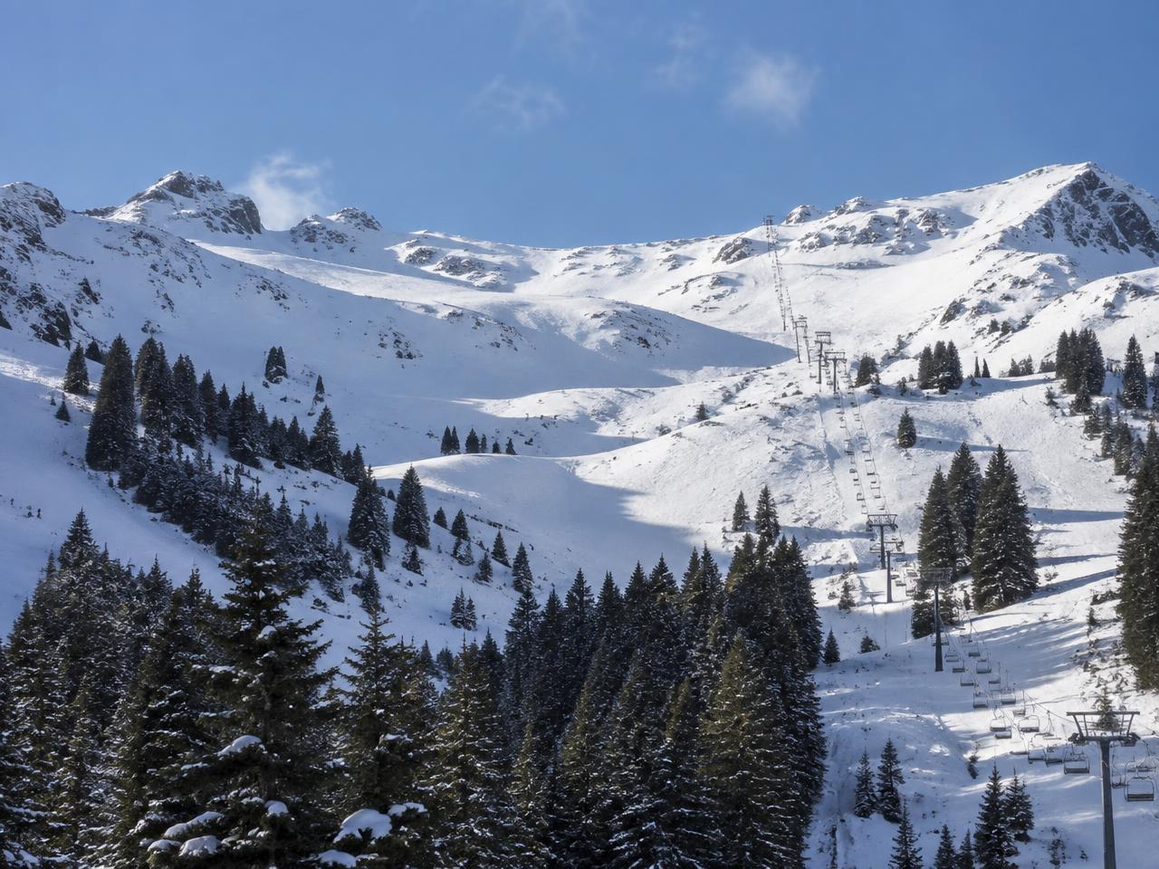 Brezovica